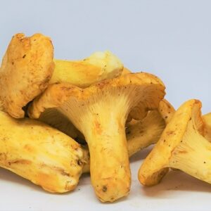 Пачи крак